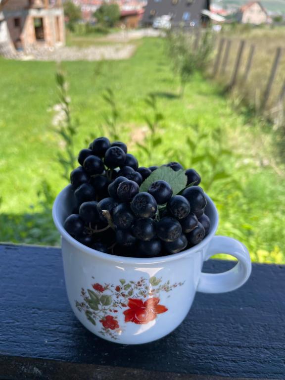 a cup filled with black grapes sitting on a table at Cabana la Munte in Topliţa