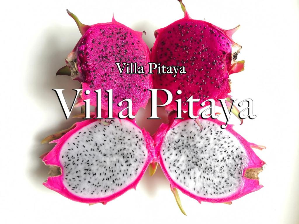 a slice of a pink papaya with the words villa pizza at Villa Pitaya in Le Tampon