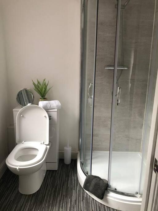 a bathroom with a toilet and a shower at 1 BR Flat in Central Stoke Near Train Station in Stoke on Trent