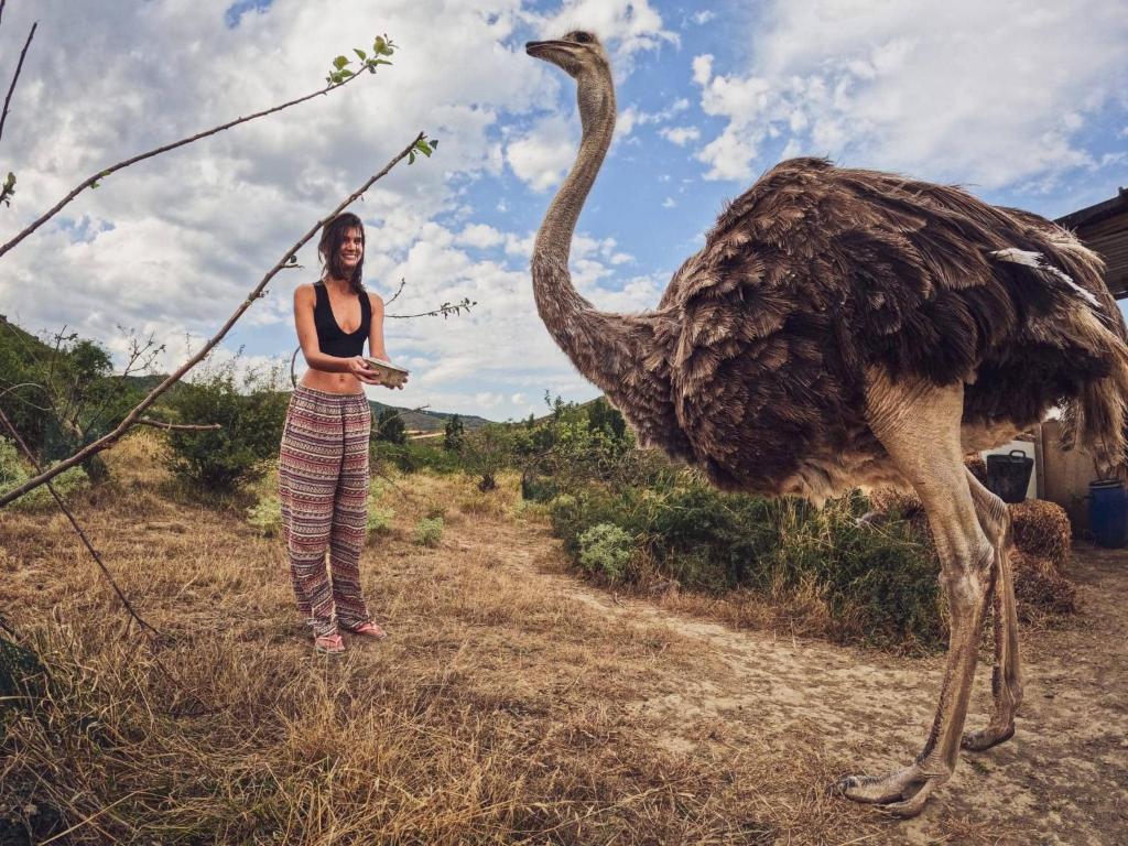Casa rural en Santuario de animales