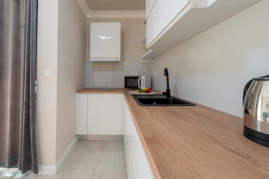 Kuchyň nebo kuchyňský kout v ubytování Apartman MaKris No 4