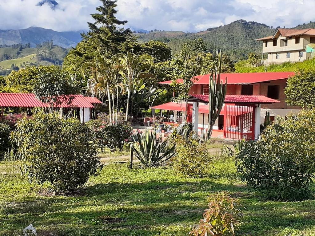 une maison avec un toit rouge et des arbres dans un champ dans l'établissement CASA FINCA RANCHO APPALOOSA Vereda TIERRA LINDA Finca # 3, à Urrao