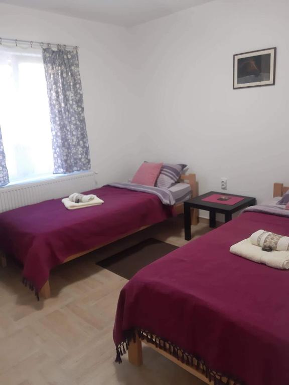 Postel nebo postele na pokoji v ubytování Apartmani Petrović SEMČE Suva Planina