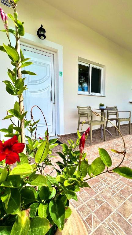 Vonkajšia záhrada v ubytovaní Emmanouela's Apts