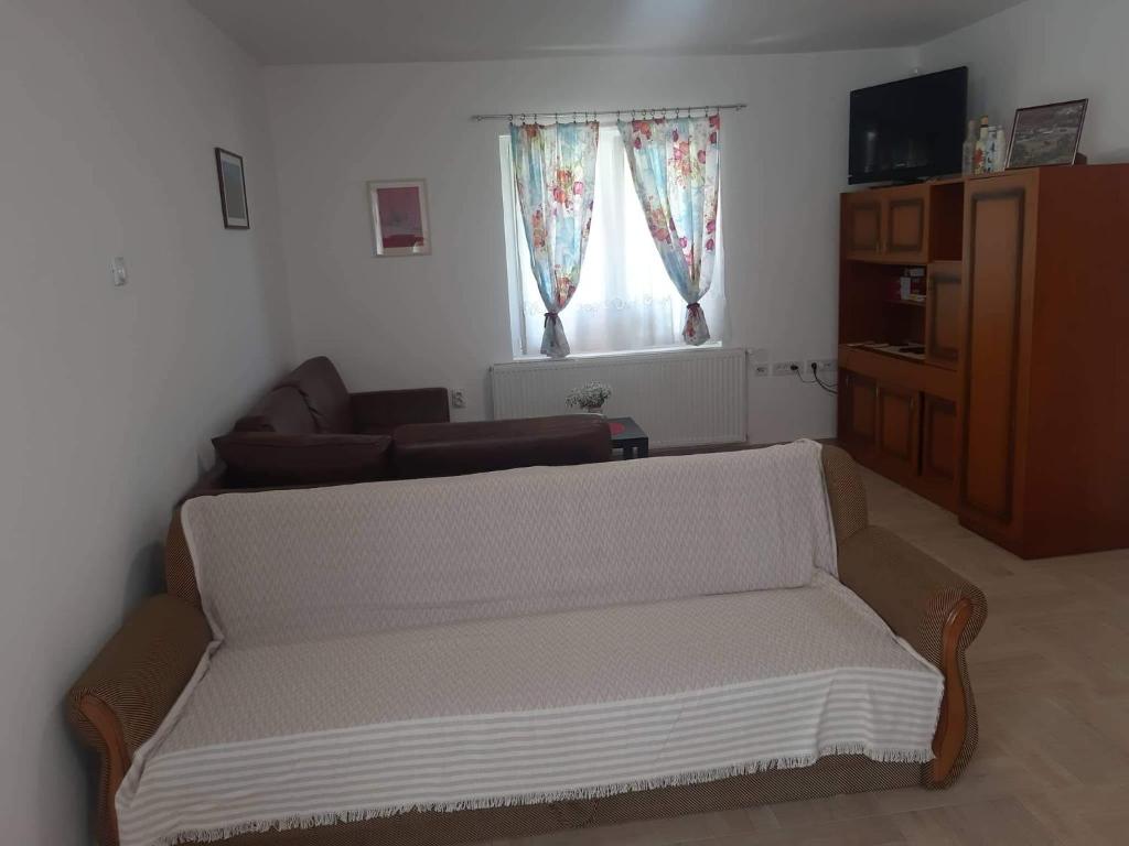 TV a/nebo společenská místnost v ubytování Apartmani Petrović SEMČE Suva Planina