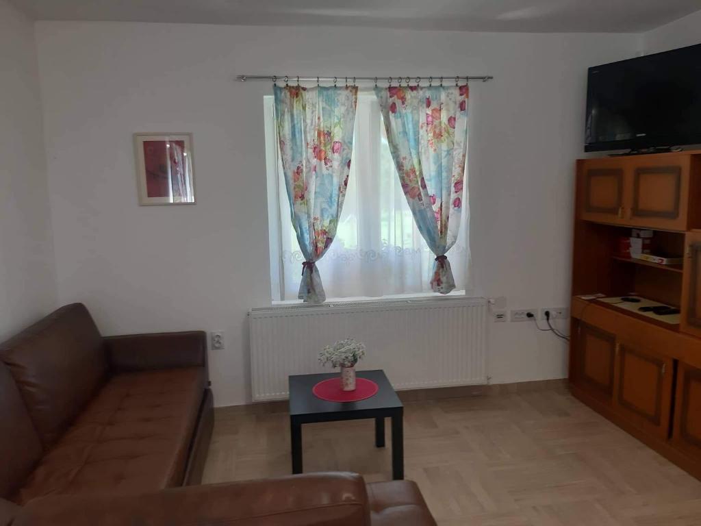 Kuchyň nebo kuchyňský kout v ubytování Apartmani Petrović SEMČE Suva Planina