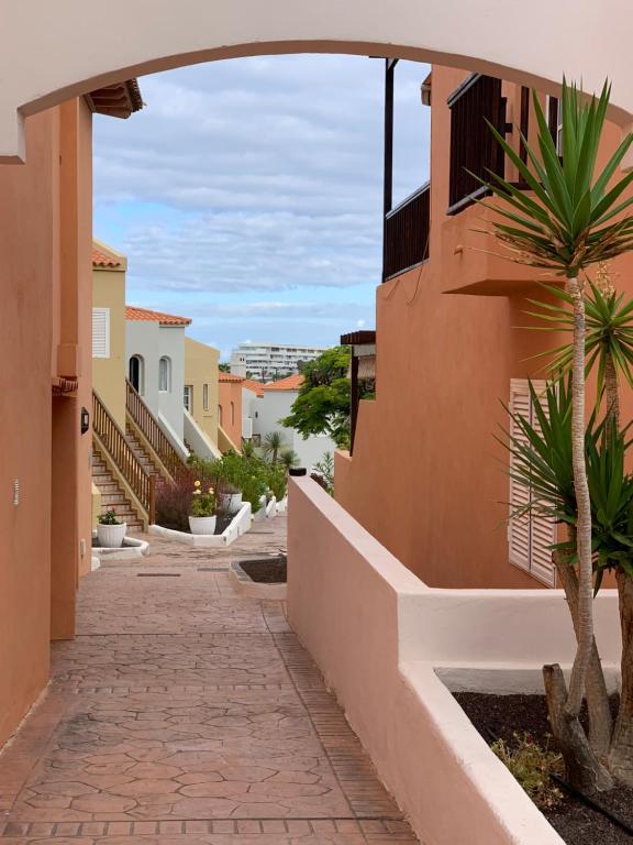 a street in a town with buildings and a palm tree at Mango in Adeje