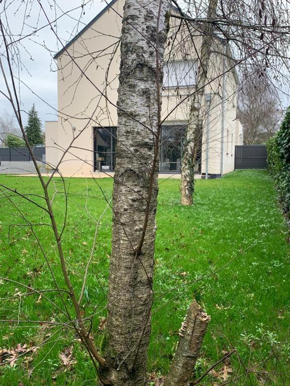 Vonkajšia záhrada v ubytovaní maison de charme avec jardin,pacé,proche de Rennes