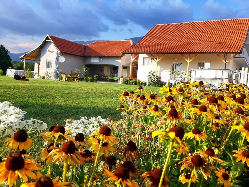 Zahrada ubytování Apartmani Petrović SEMČE Suva Planina