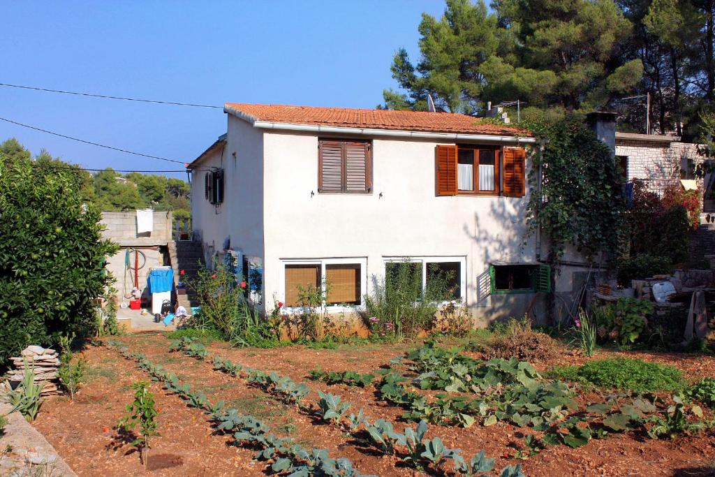 Ogród w obiekcie Apartments by the sea Basina, Hvar - 116