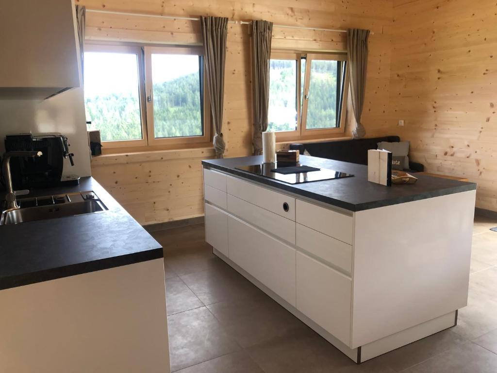 Kuchyň nebo kuchyňský kout v ubytování Blockhaus Waldspiel -Adults Only