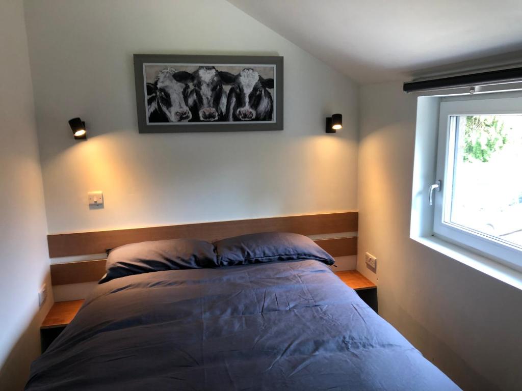 Schlafzimmer mit einem Bett und einem Fenster in der Unterkunft Lucys loft in Cork