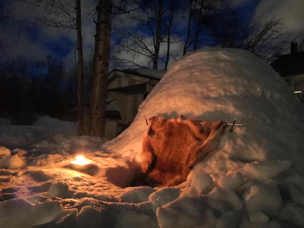 an igloo is covered in snow at night at Authentic Wooden House by the River with an Igloo in Rovaniemi