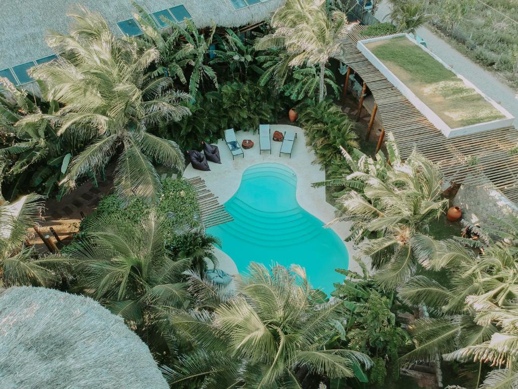 uma vista sobre uma piscina com palmeiras em Pousada Jardim do vento em Icaraí