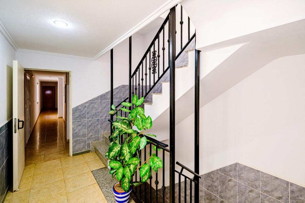 Fotografia z galérie ubytovania Alegria ID 90 v destinácii Torrevieja