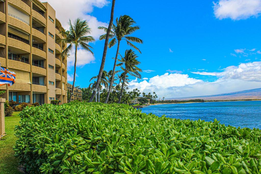 widok na hotel z palmami i zbiornikiem wodnym w obiekcie Island Sands Resort w mieście Maalaea