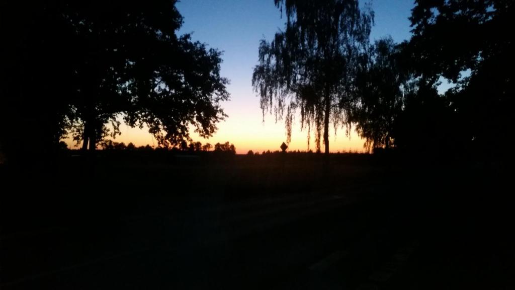 a sunset in a field with trees in the background at Entspannen & Wohlfühlen in der Lüneburger Heide in Vierhöfen