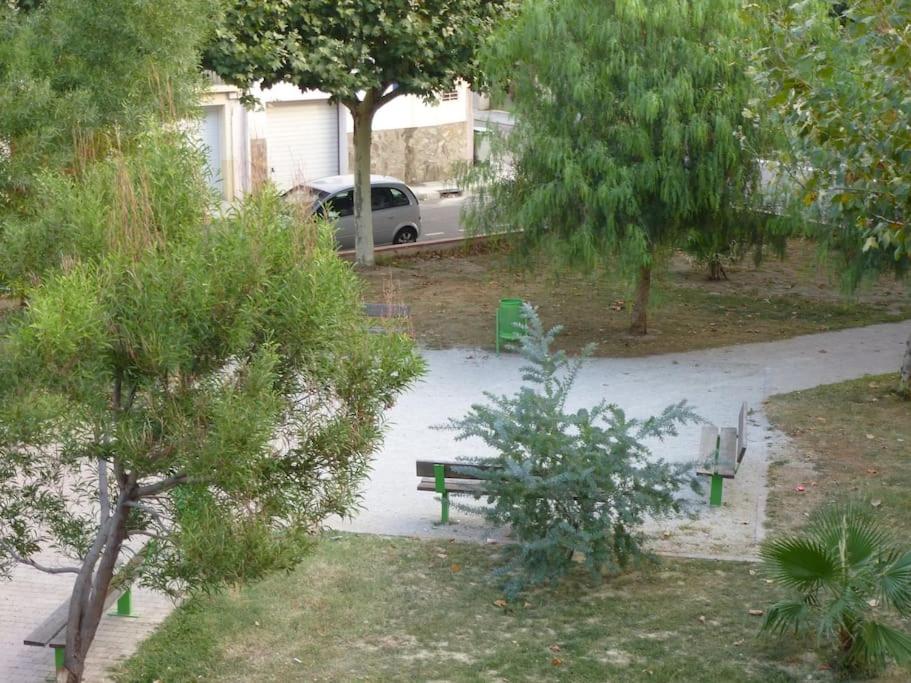 Vonkajšia záhrada v ubytovaní Passerelle Opéra Perpignan