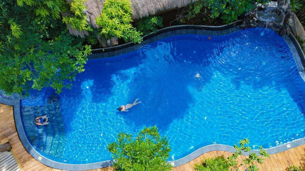an overhead view of a large blue swimming pool at Habarana Tree house Mutu village in Habarana