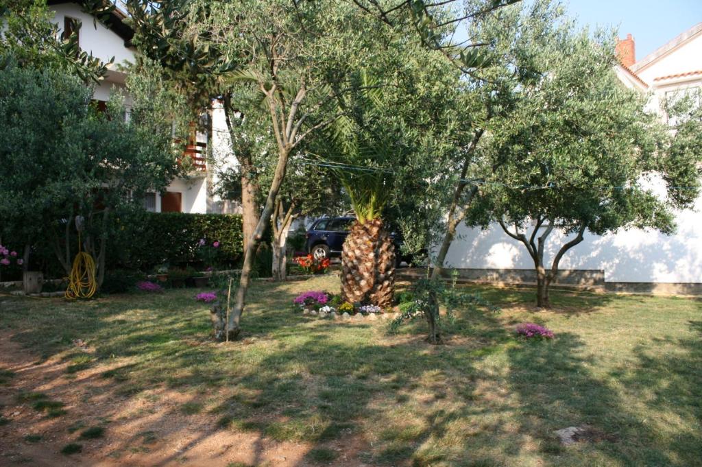 Ogród w obiekcie Apartments with a parking space Povljana, Pag - 226