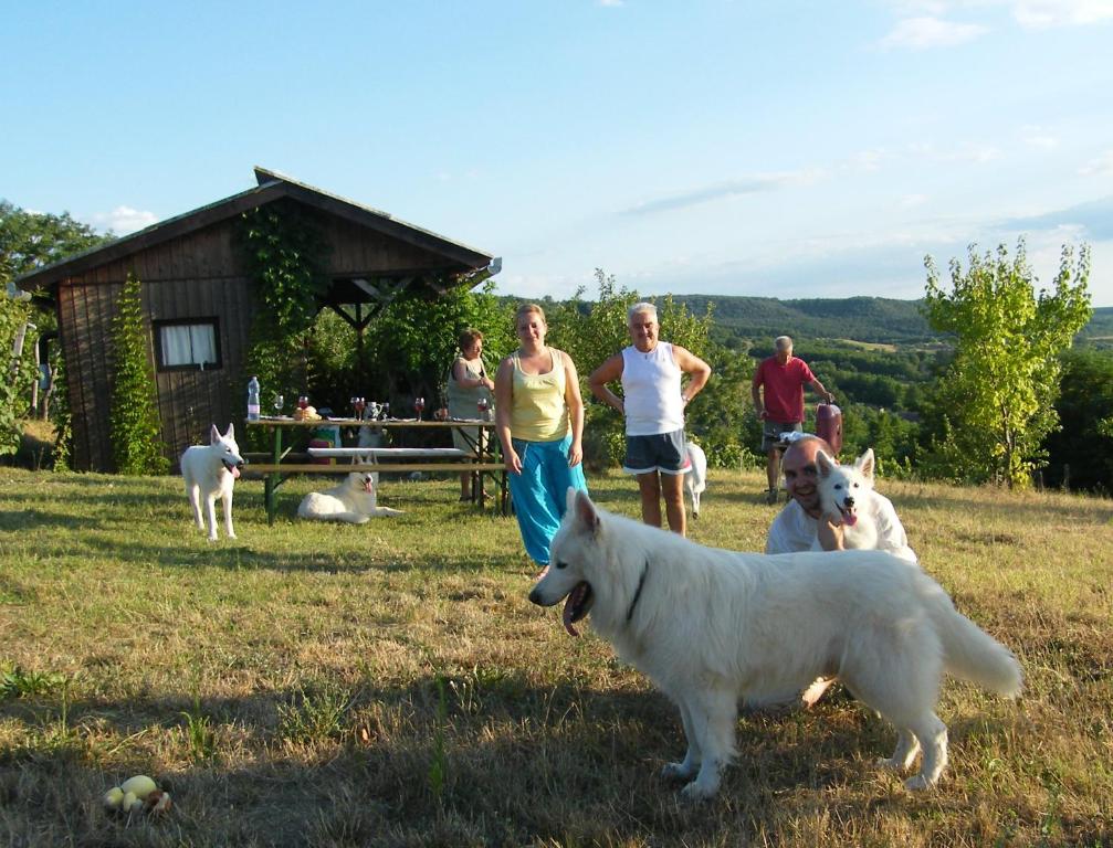 Domáce zviera alebo zvieratá hostí v ubytovaní Ferienhaus Waldhof