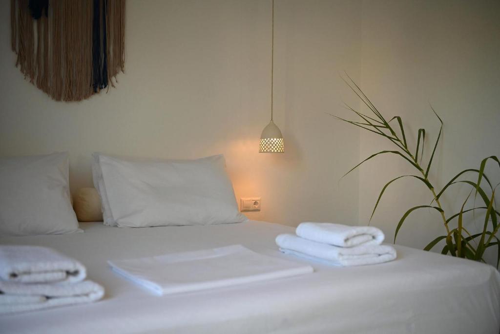 Annassa Suites - 一居室公寓