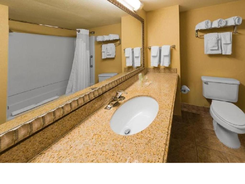 Holiday Inn & Suites Orlando SW - Celebration Area, an IHG Hotel - Standard King Room