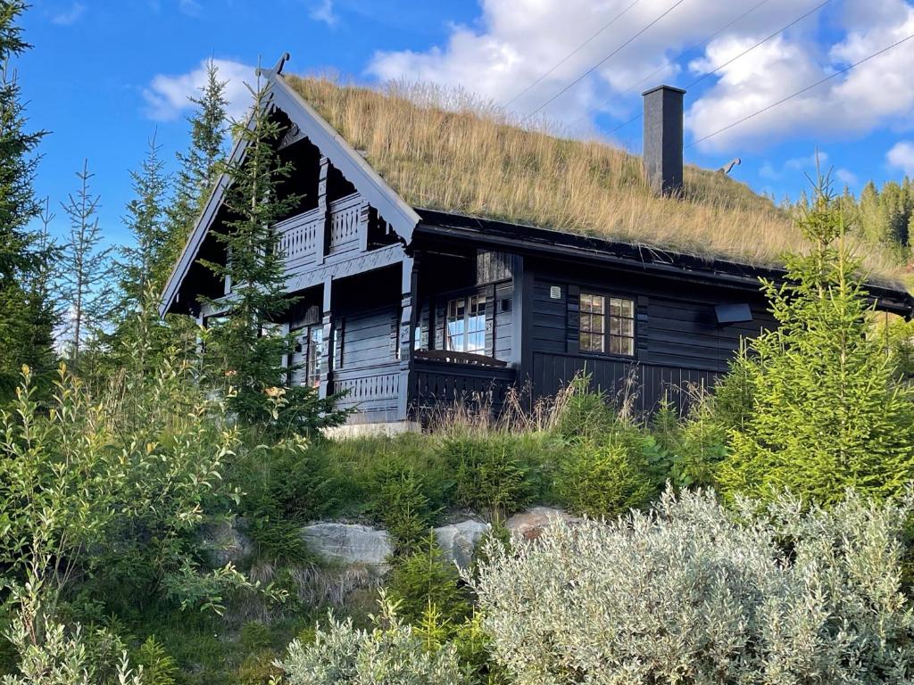 uma casa velha com telhado de relva em Ski and Bike-In and Out em Hafjell