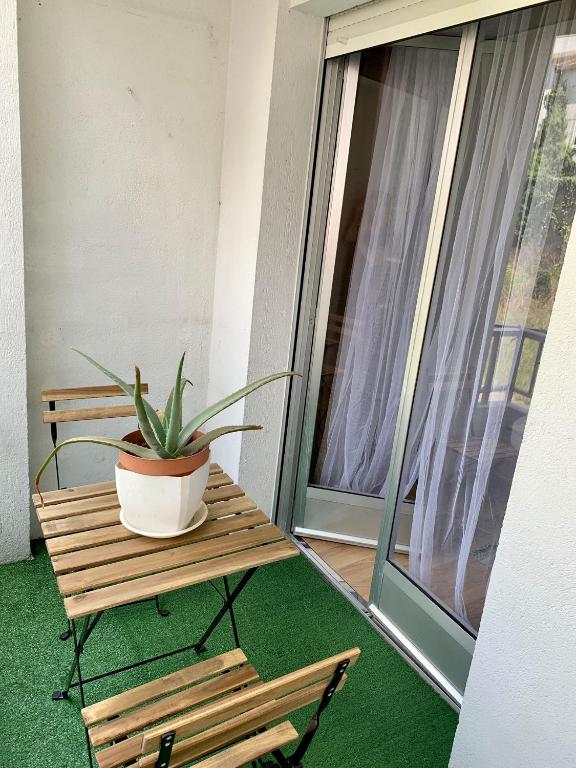 Vonkajšia záhrada v ubytovaní N&E - Home Celanova AVD San Rosendo