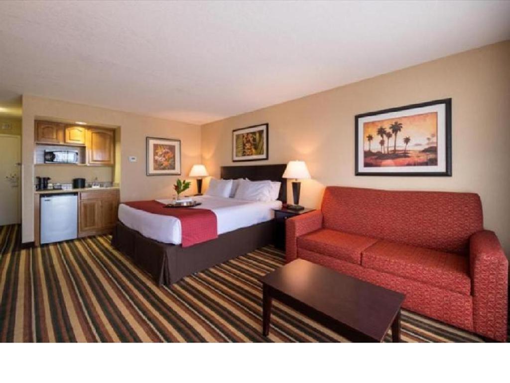 Holiday Inn & Suites Orlando SW - Celebration Area, an IHG Hotel - Camera King Premium Con Divano Letto