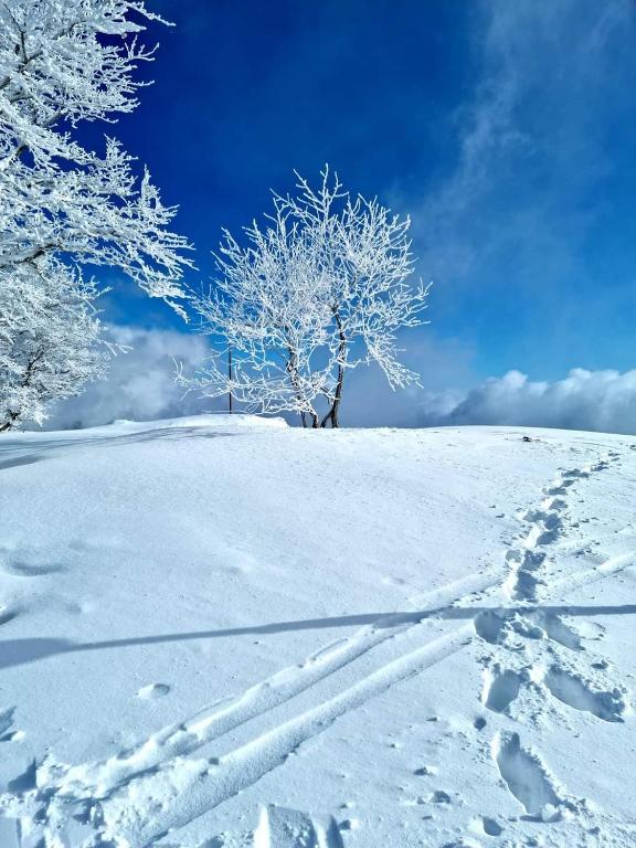 Place Royale pour 10 à 12 personnes à 30 mèt des pistes de Ski et Vtt v zimě