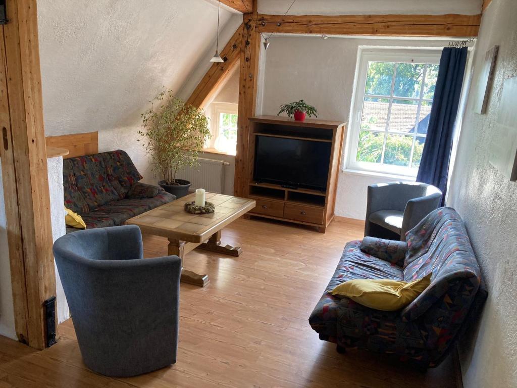 ein Wohnzimmer mit einem Sofa und einem TV in der Unterkunft Dorfschule Mollseifen in Winterberg