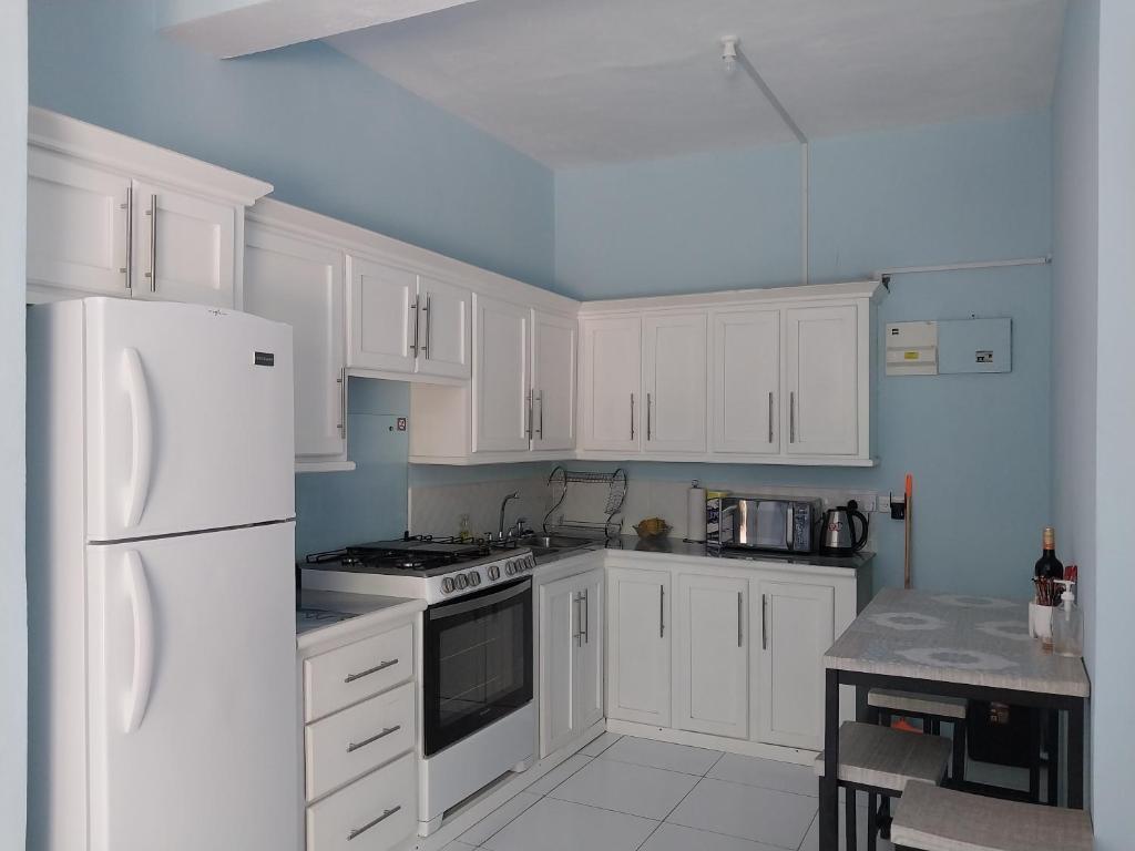 Kuchyň nebo kuchyňský kout v ubytování Avocado Suites
