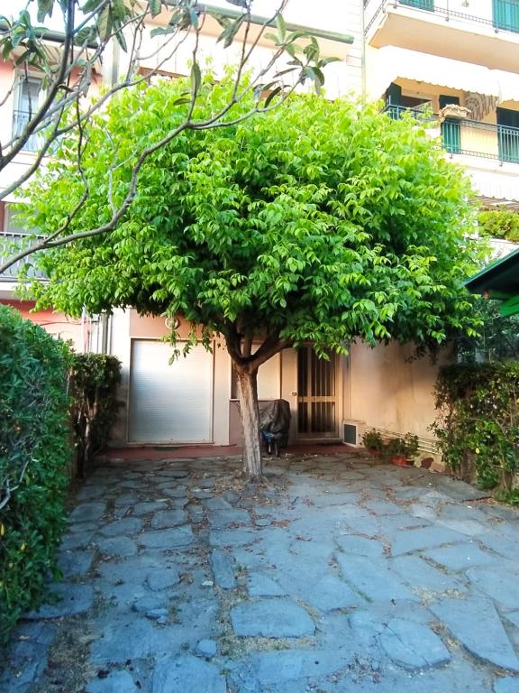 A garden outside Brezza marina