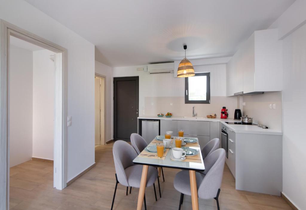 Kuchyň nebo kuchyňský kout v ubytování SunilioS Apartments Lefkada