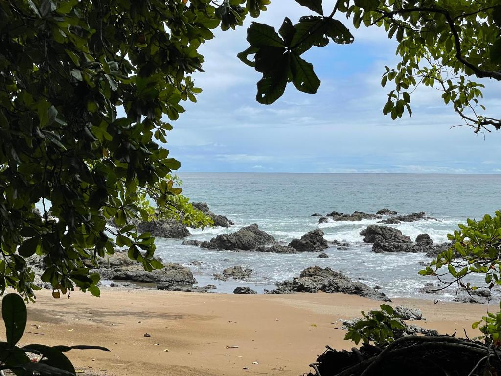 Hotel La Fiore de Bahia beach view