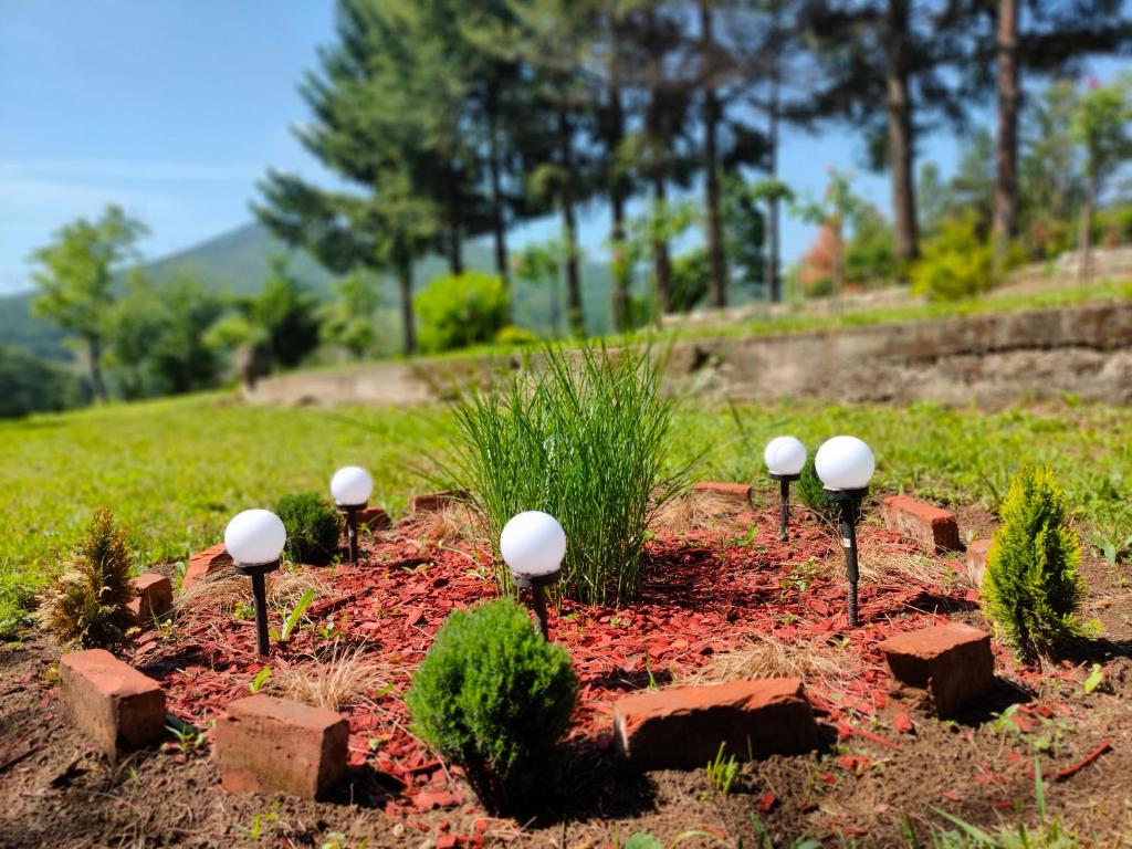 Zahrada ubytování Vila Jezerski raj Borsko jezero