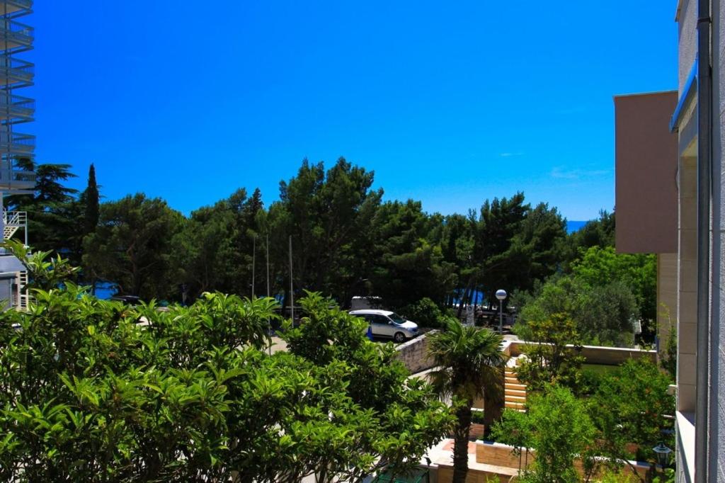 Zahrada ubytování Apartments by the sea Makarska - 15200