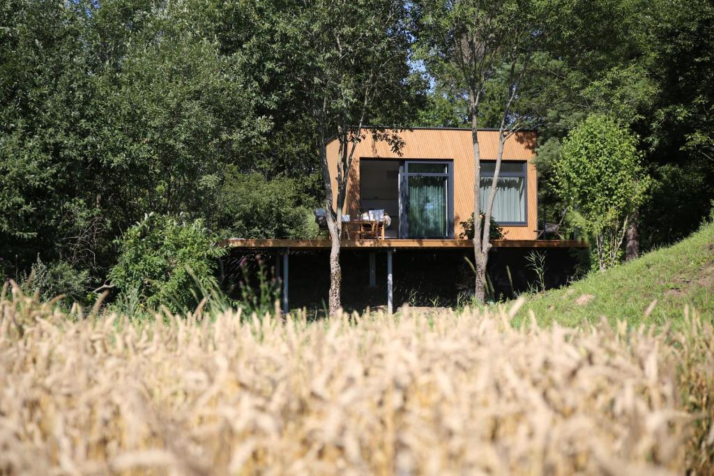 una casa en medio de un campo en PASSION HUT, en Salantai