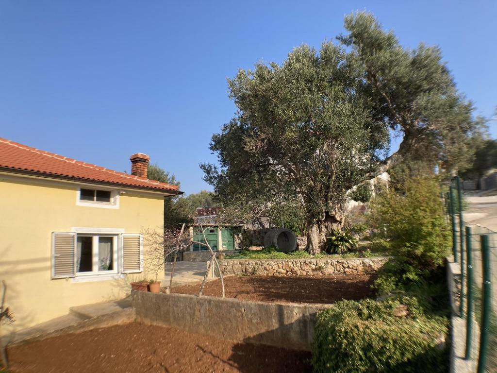 Zahrada ubytování Apartments by the sea Lun, Pag - 9395