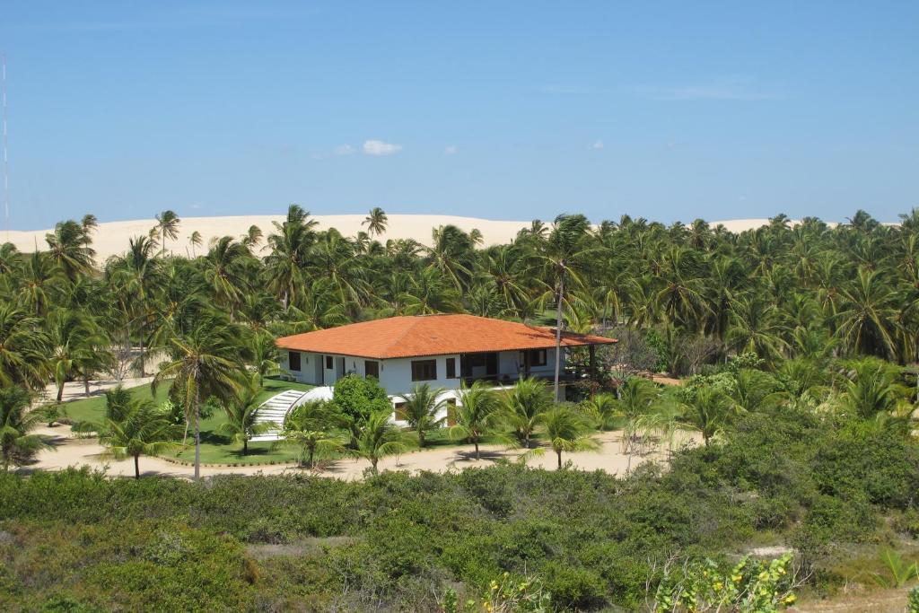 a house on the beach with palm trees at Vila Kitepirinha in Flecheiras