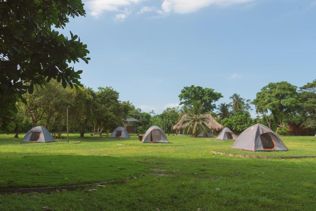 eine Gruppe von Zelten auf einem Feld mit Bäumen in der Unterkunft Camping Tequendama Playa Arrecifes Parque Tayrona in El Zaino