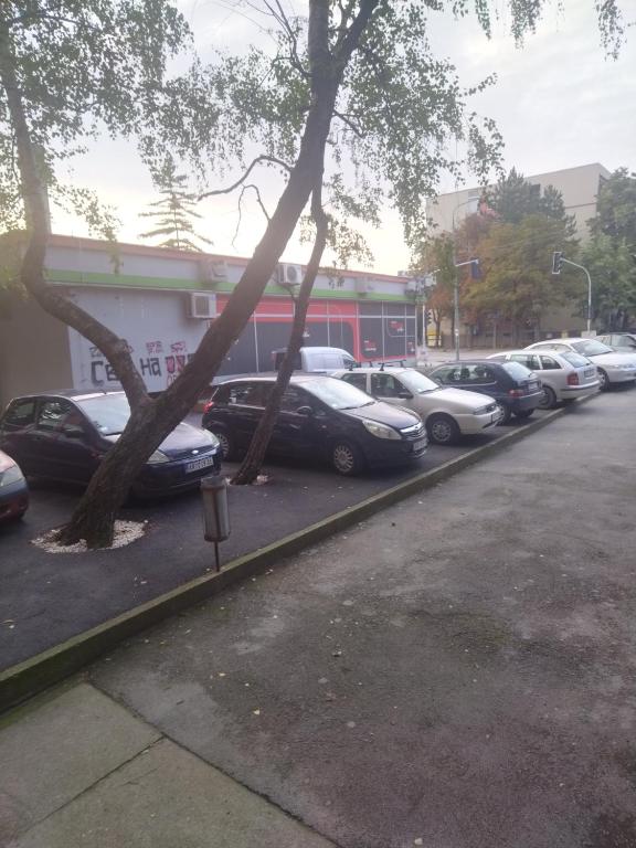 Fotografie z fotogalerie ubytování Cezar v destinaci Aranđelovac