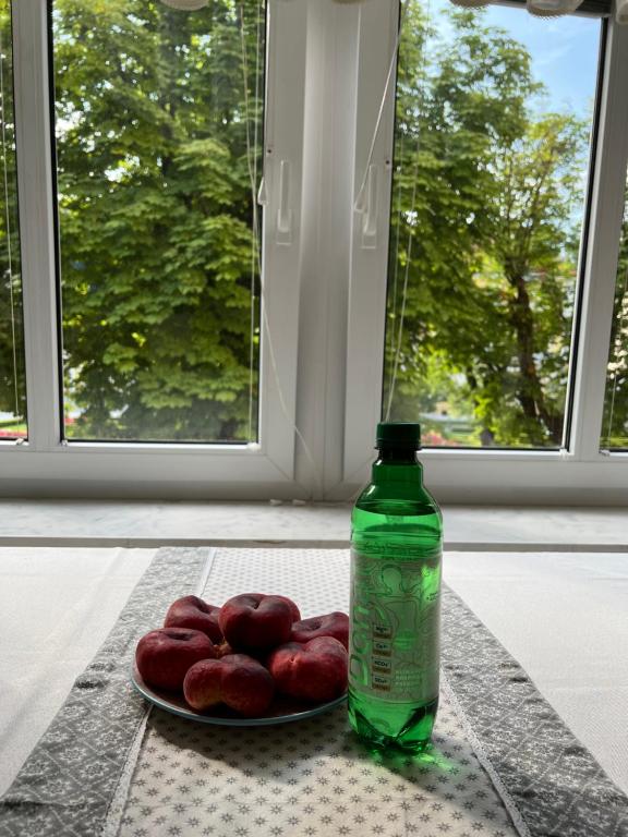 Fotografie z fotogalerie ubytování Apartment Juliana v destinaci Rogaška Slatina
