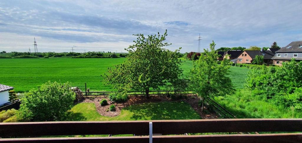 a garden with a tree in the middle of a field at Schöne Wohnung mit Blick ins Grüne Messenah Exhibition apartment in Sehnde