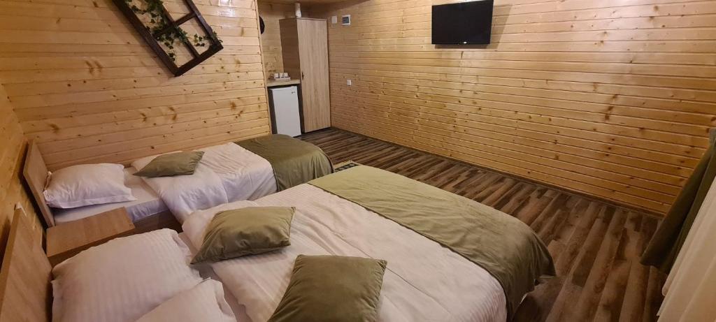 Baltina Parc Transfagarasan - Дом с одной спальней
