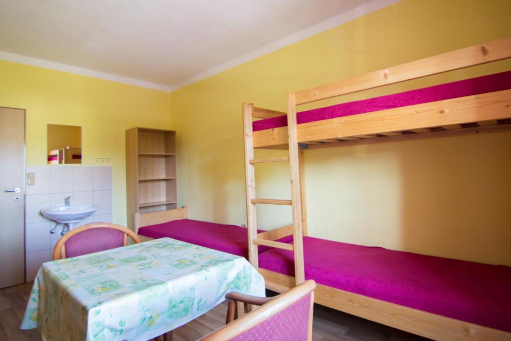 ヴィシュシー・ブロトにあるUbytovna Pod Hrázíのベッドルーム1室(二段ベッド2台、シンク付)