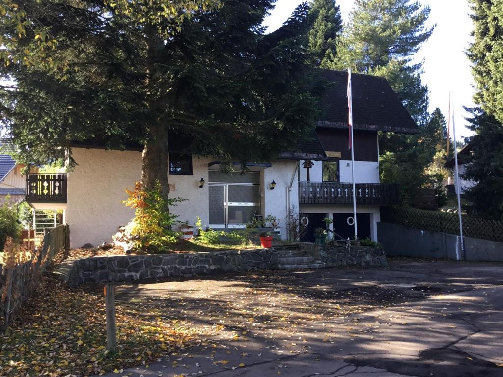 une maison avec un arbre en face dans l'établissement Haus vor Anker, à Feldberg