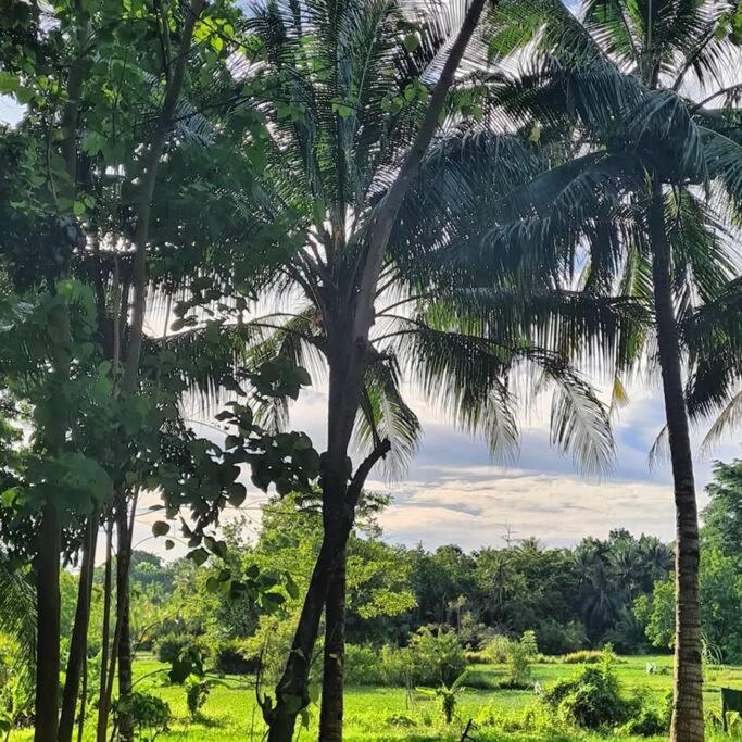 HeartTarzan’s Island Tour and Lodging