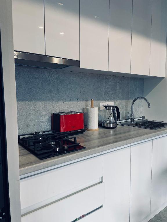 Kuchyň nebo kuchyňský kout v ubytování Kazbegi Stylish Apartment
